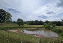 DeWine signs drought relief funding bill, sending $10 million to Ohio farmers